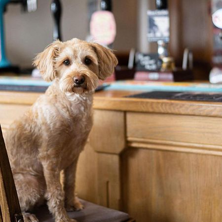 Masons Arms Amble Bed & Breakfast Екстериор снимка