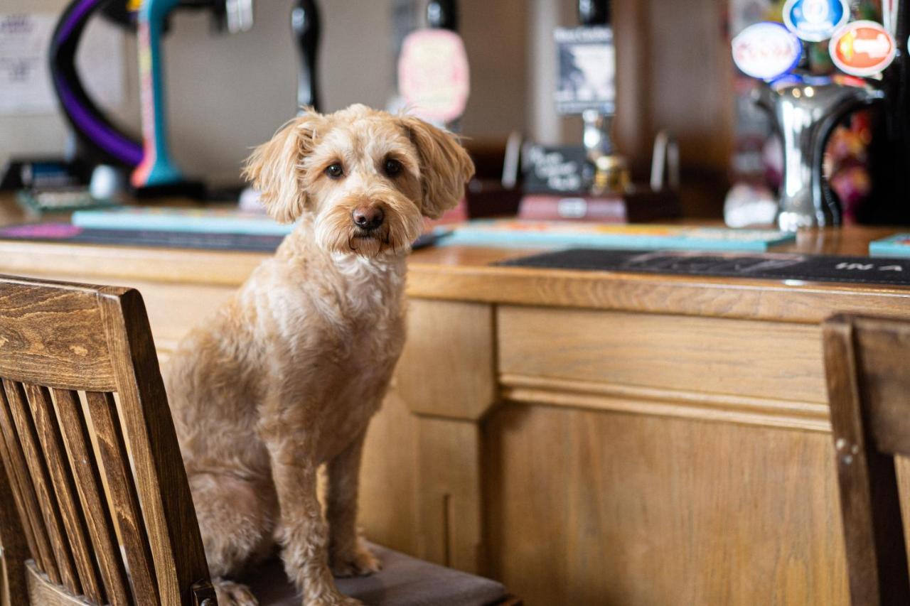 Masons Arms Amble Bed & Breakfast Екстериор снимка